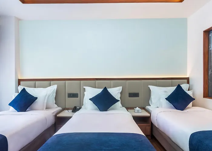 Hotel Sarasadan Boutique - Tribhuvan Airport Katmandú